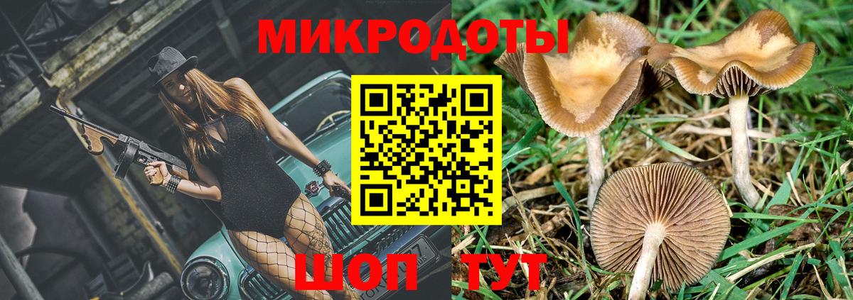 Галлюциногенные грибы Psilocybe  Вход с VPN  Псилоцибиновые грибы ЛСД  Ногинск 