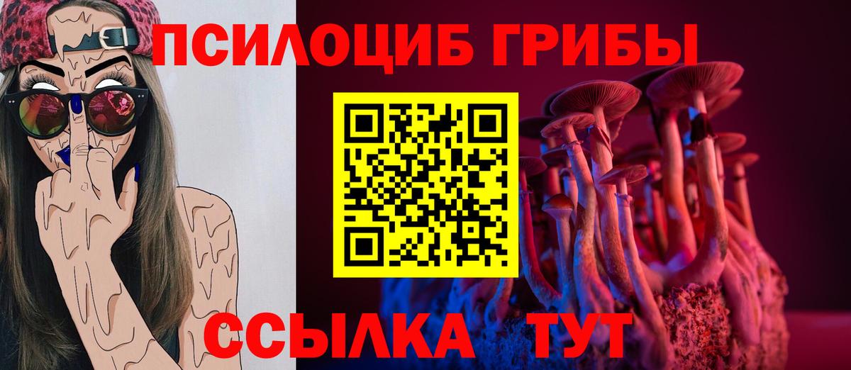 Галлюциногенные грибы Cubensis Ногинск